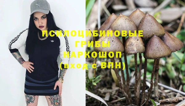 кокаин Алексеевка