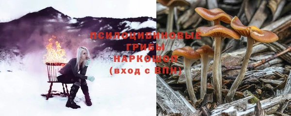 кокаин Алексеевка